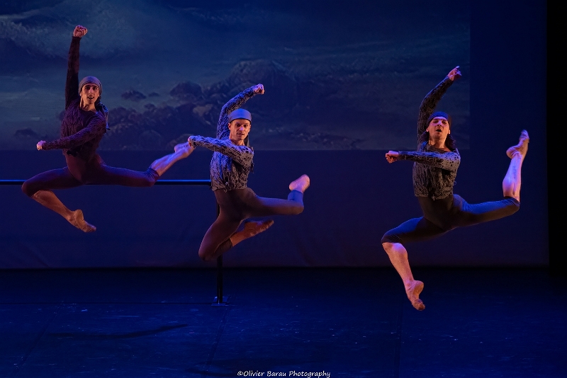 ballet romantique (31)